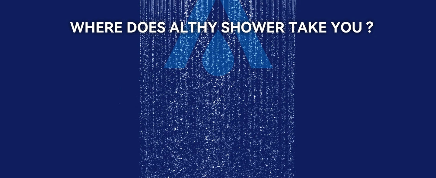 Vitamin C Shower Filter